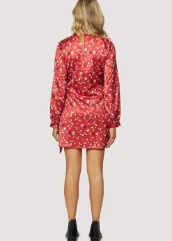 Lost + Wander Dresses*Falling In Love Mini Dress RED WHITE FLORAL