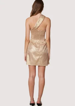 Lost + Wander Dresses*Pixie Dust Mini Dress ROSE-GOLD