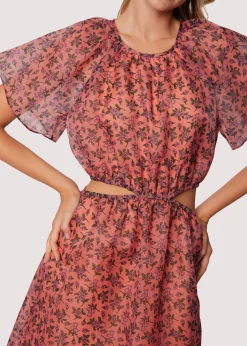 Lost + Wander Dresses*Venus Rising Maxi Dress PINKFLORAL