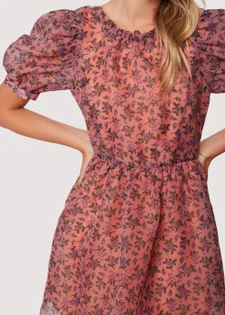 Lost + Wander Dresses*Venus Rising Mini Dress PINKFLORAL